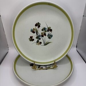 Vintage Denby Shamrock 10 inch dinner plates set of 2